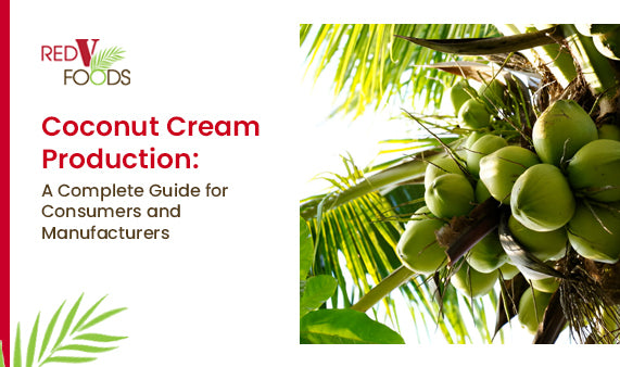 Coconut Cream Production: A Complete Guide for Consumers and Manufacturers